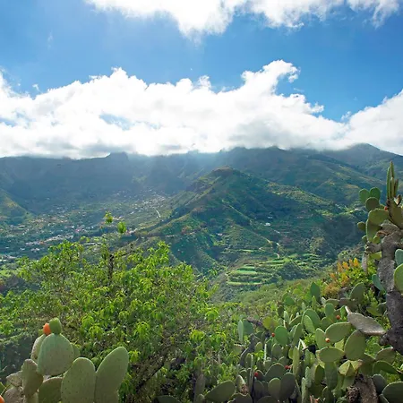 Ca' Navarro Tatil Evi *